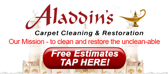 Carpet Cleaning Mishawaka IN